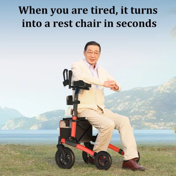 3 in 1 Lightweight Walker Wheelchair Pushchair