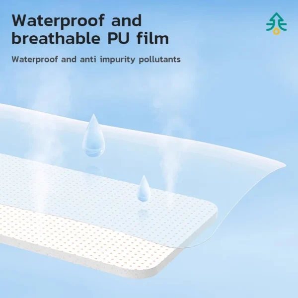 Transparent Waterproof Sterile Wound Dressing